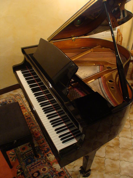 Piano sapo