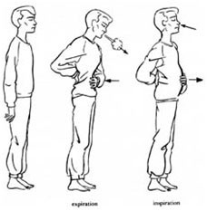 Illustration de la respiration abdominale