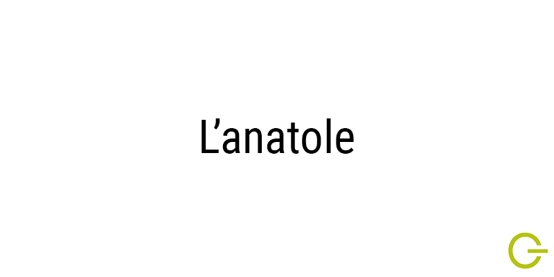 Illustration texte "L'anatole"