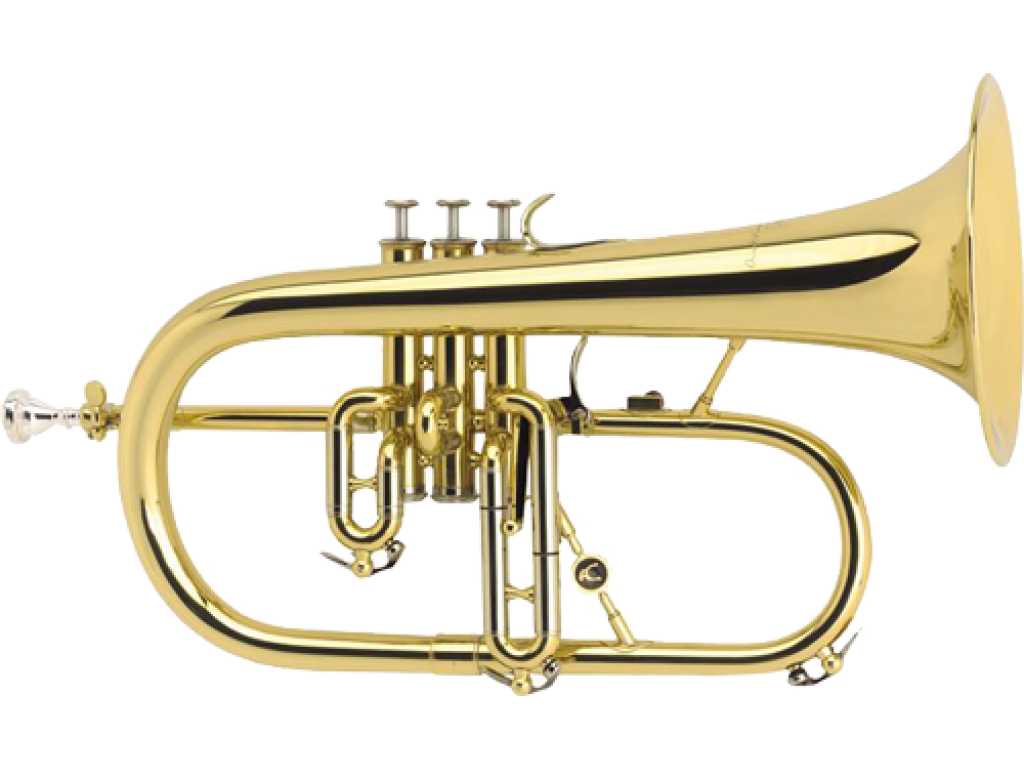 Bugle, instrument de musique