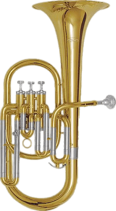 Saxhorn, instrument de musique