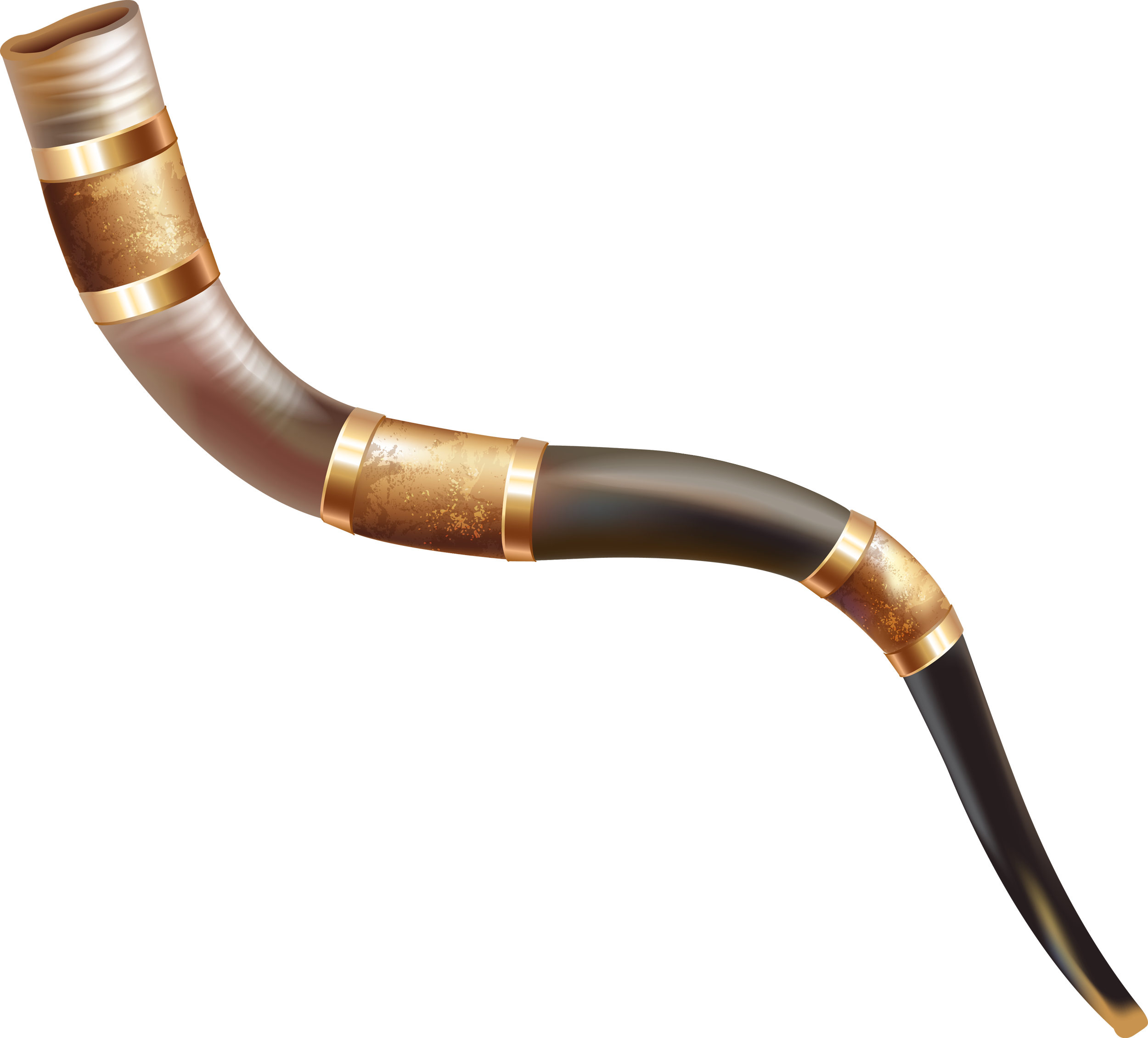 Shofar, instrument de musique