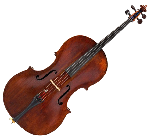 Illustration violoncelle instrument de musique