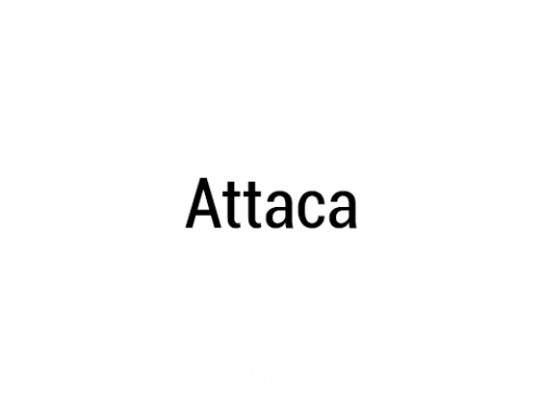 Attaca (musique)