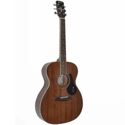 Framus FF 14M NS folk location
