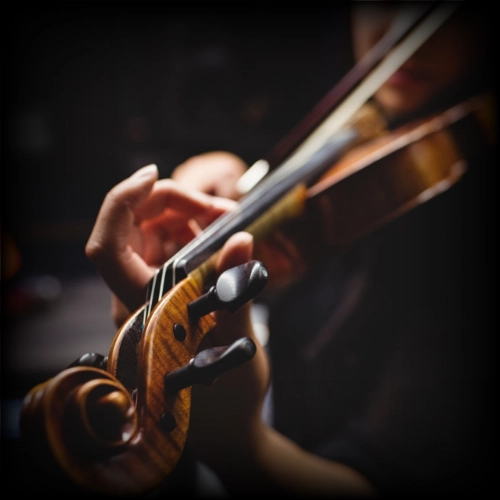 Cours de violon en ligne