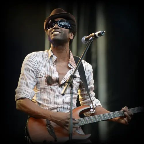 Professeurs de guitare